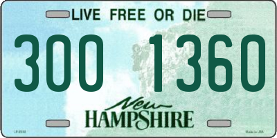 NH license plate 3001360