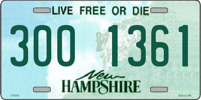 NH license plate 3001361