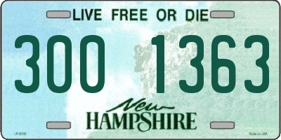 NH license plate 3001363