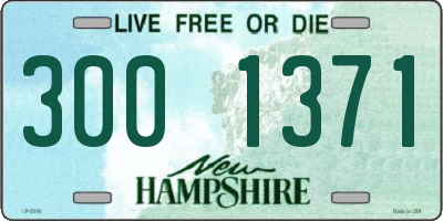 NH license plate 3001371