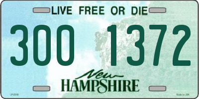 NH license plate 3001372