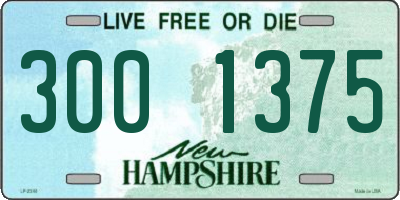 NH license plate 3001375