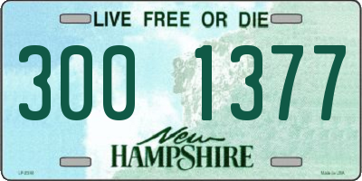NH license plate 3001377