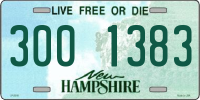 NH license plate 3001383