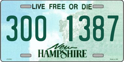 NH license plate 3001387