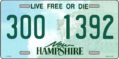 NH license plate 3001392