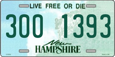 NH license plate 3001393