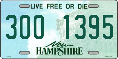 NH license plate 3001395