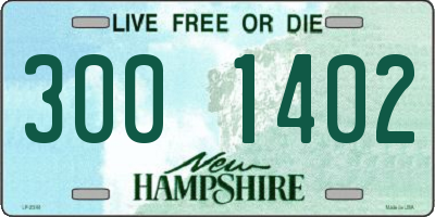 NH license plate 3001402