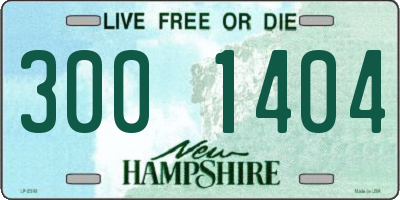 NH license plate 3001404