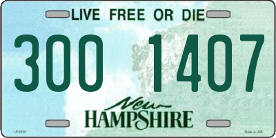 NH license plate 3001407