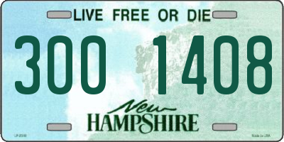 NH license plate 3001408