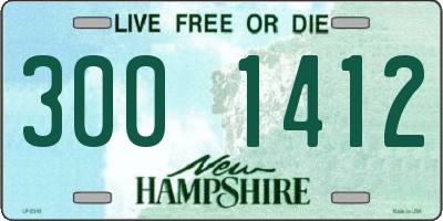 NH license plate 3001412