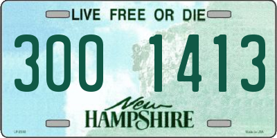 NH license plate 3001413