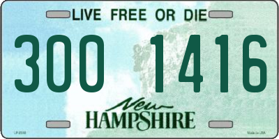 NH license plate 3001416