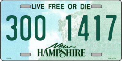 NH license plate 3001417