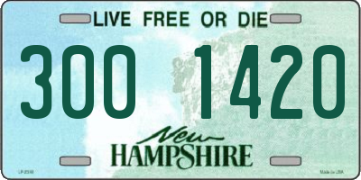 NH license plate 3001420