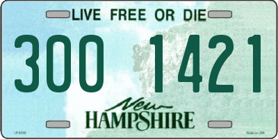NH license plate 3001421