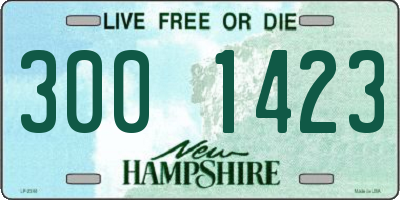 NH license plate 3001423