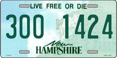 NH license plate 3001424
