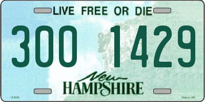 NH license plate 3001429