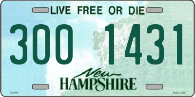 NH license plate 3001431