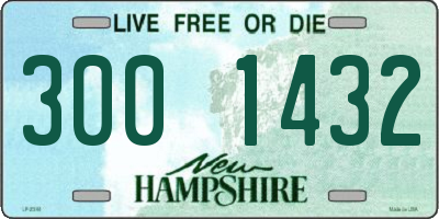 NH license plate 3001432