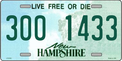 NH license plate 3001433