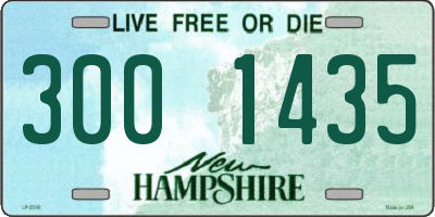 NH license plate 3001435