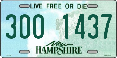 NH license plate 3001437
