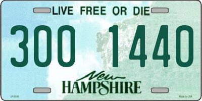NH license plate 3001440