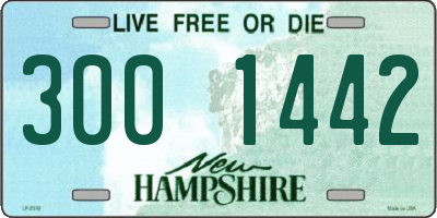NH license plate 3001442