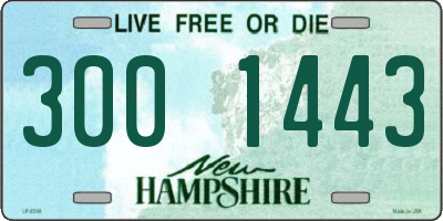 NH license plate 3001443