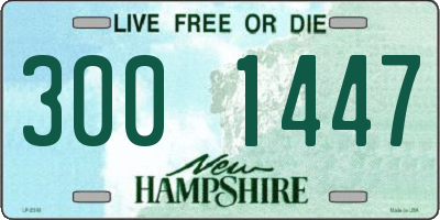 NH license plate 3001447