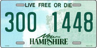 NH license plate 3001448