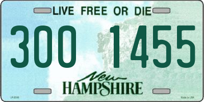 NH license plate 3001455