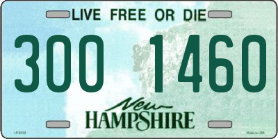 NH license plate 3001460