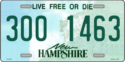 NH license plate 3001463