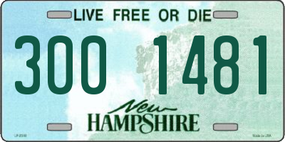 NH license plate 3001481