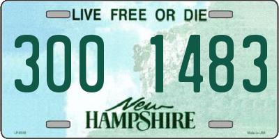 NH license plate 3001483