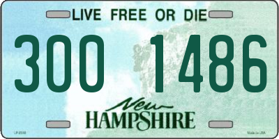 NH license plate 3001486