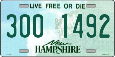 NH license plate 3001492