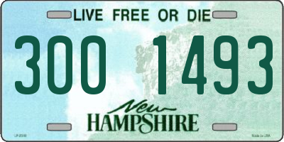 NH license plate 3001493