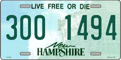NH license plate 3001494