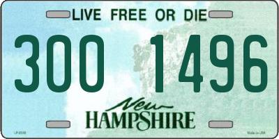 NH license plate 3001496