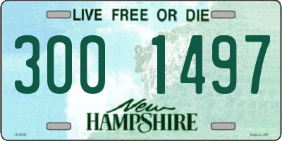 NH license plate 3001497