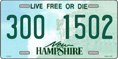 NH license plate 3001502