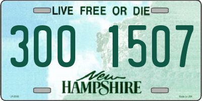 NH license plate 3001507