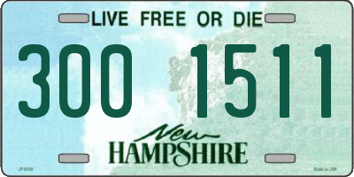 NH license plate 3001511