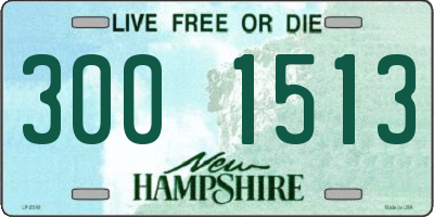 NH license plate 3001513